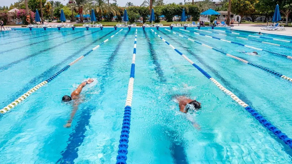 الفندق ديزرت روز ريزورت - الغردقة